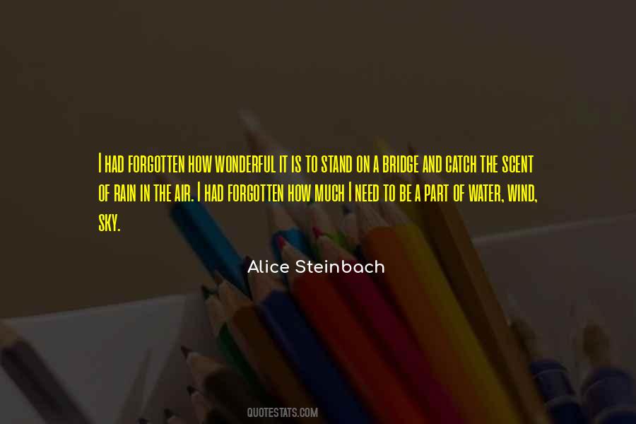 Alice Steinbach Quotes #1138059
