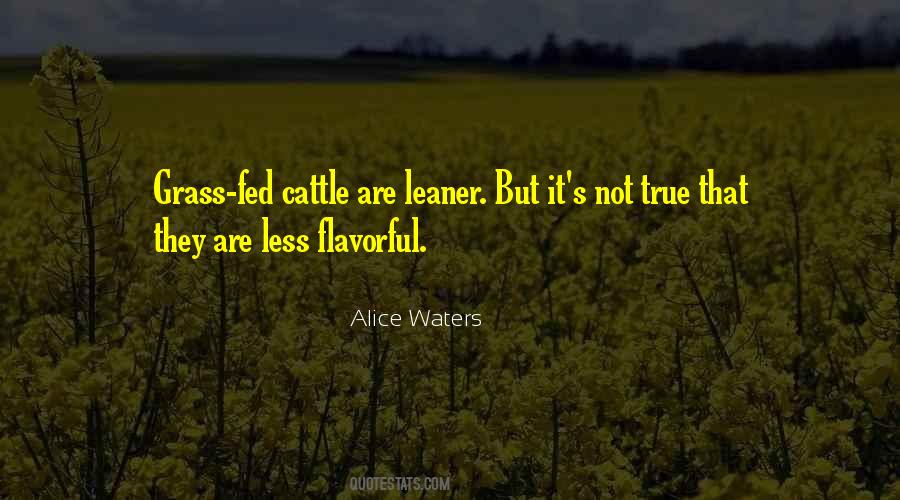 Alice Waters Quotes #82441