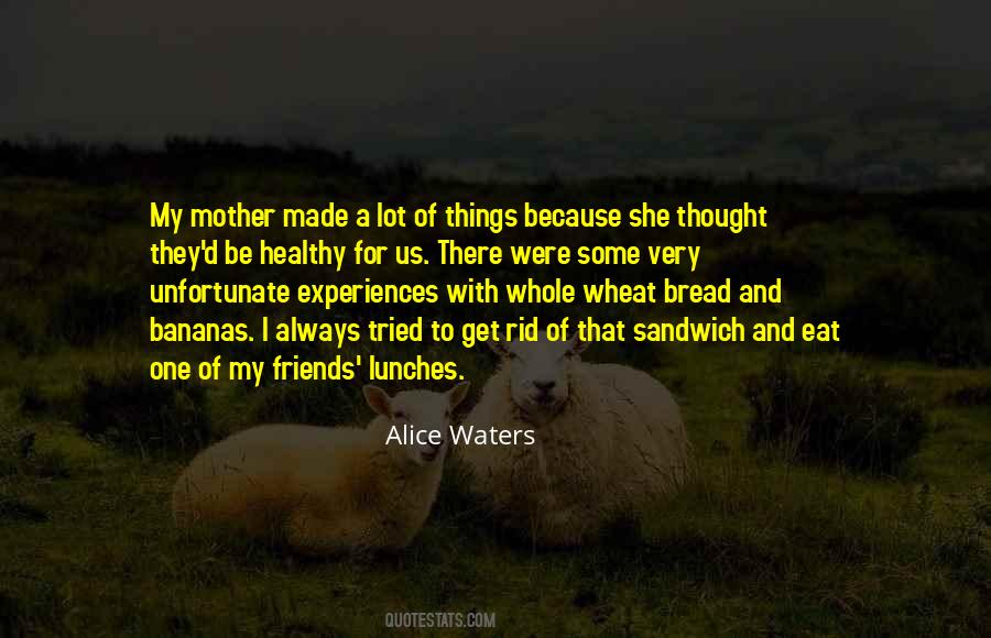 Alice Waters Quotes #829289