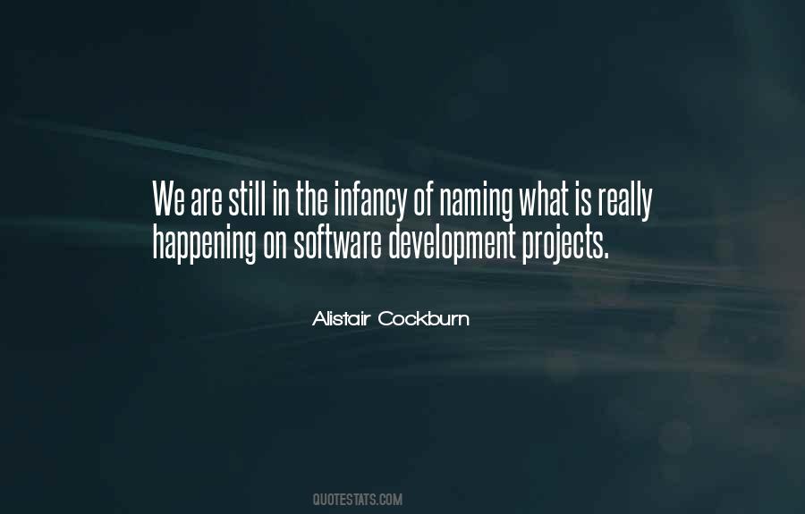 Alistair Cockburn Quotes #1436114