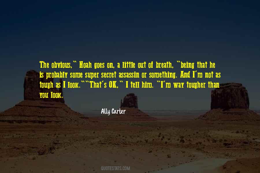 Ally Carter Quotes #502466