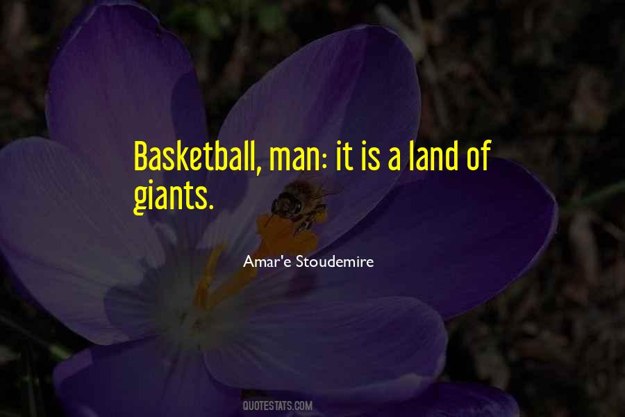 Amar'e Stoudemire Quotes #1466995