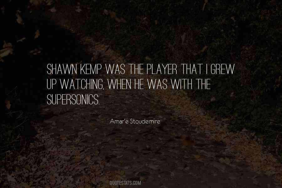 Amar'e Stoudemire Quotes #730914