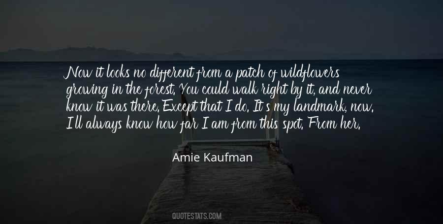 Amie Kaufman Quotes #337569