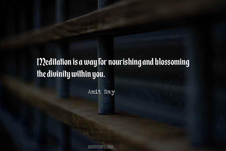 Amit Ray Quotes #359333