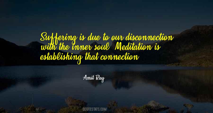 Amit Ray Quotes #418464