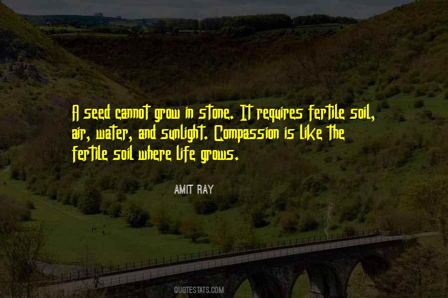 Amit Ray Quotes #4610