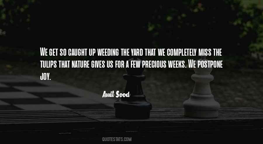 Amit Sood Quotes #204777