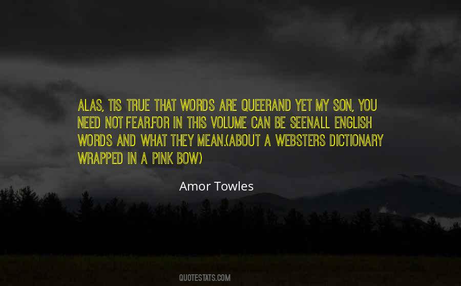 Amor Towles Quotes #902080