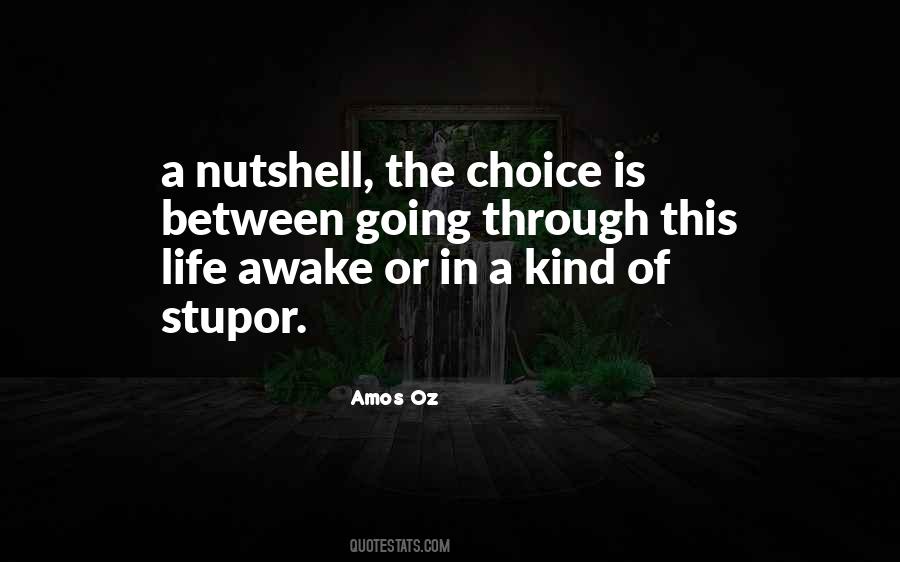 Amos Oz Quotes #810493