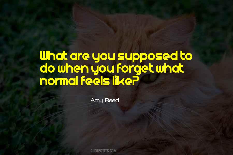 Amy Reed Quotes #394583