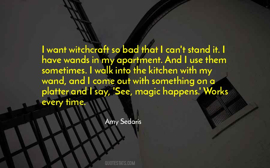 Amy Sedaris Quotes #918341
