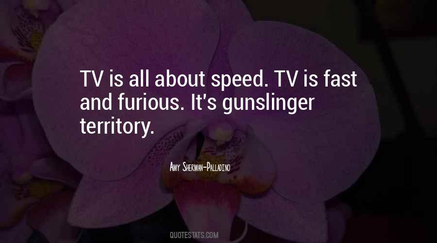 Amy Sherman Palladino Quotes #847693