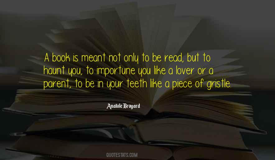 Anatole Broyard Quotes #204688