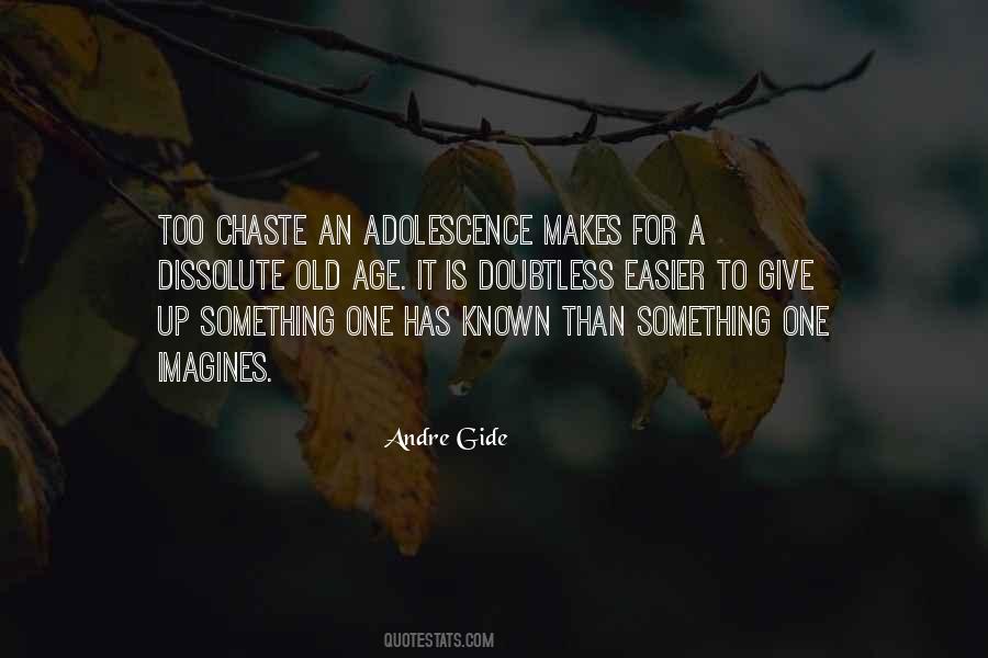 Andre Gide Quotes #446606