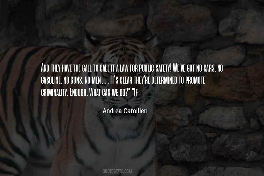 Andrea Camilleri Quotes #1222315