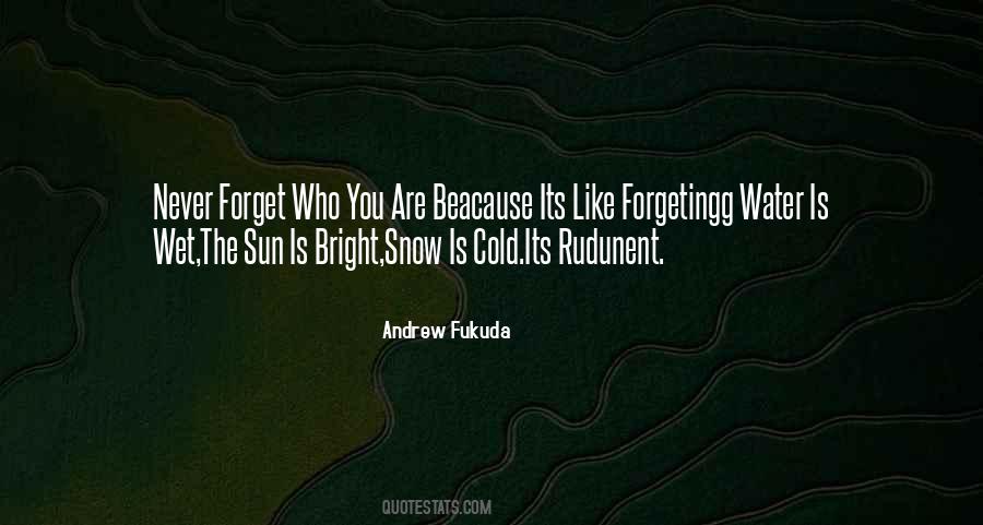 Andrew Fukuda Quotes #1119475