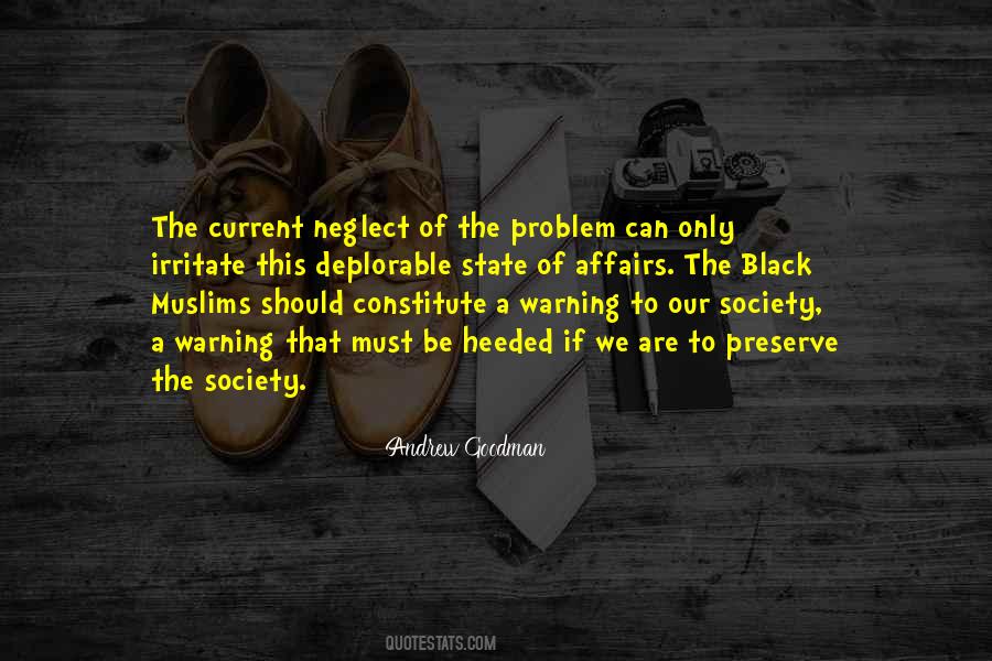 Andrew Goodman Quotes #747963