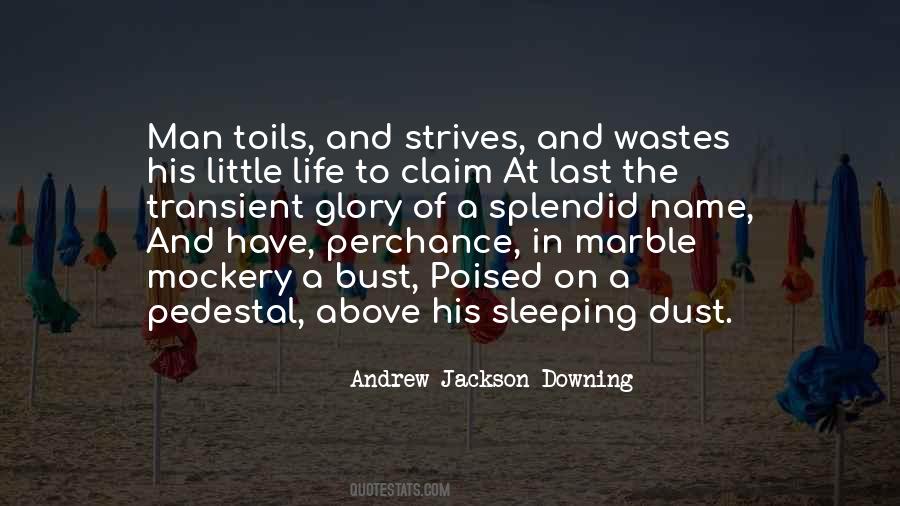 Andrew Jackson Downing Quotes #359166
