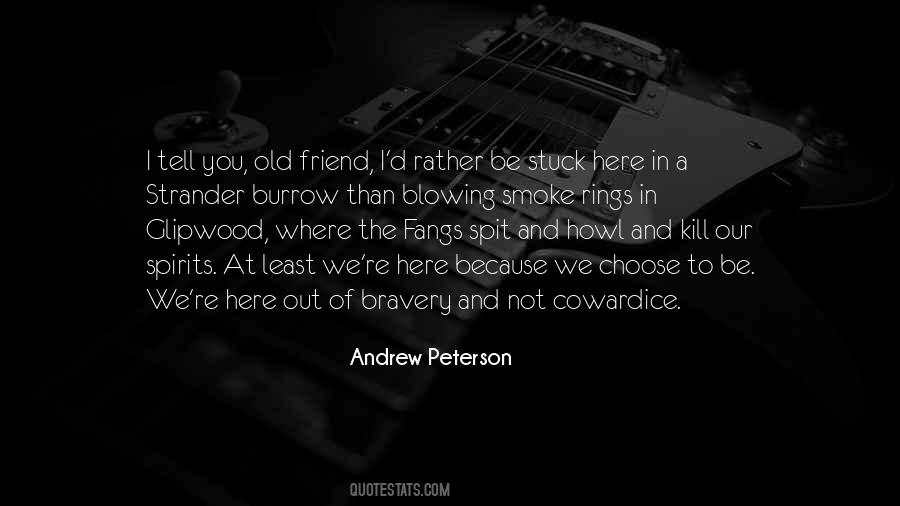 Andrew Peterson Quotes #223501