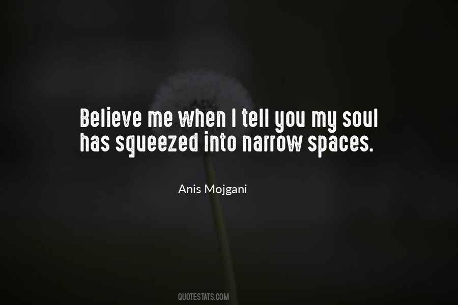 Anis Mojgani Quotes #1650402