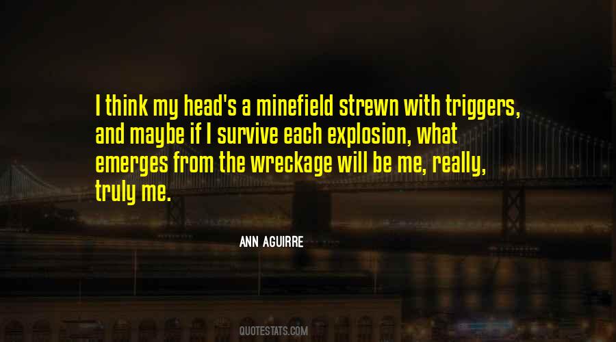 Ann Aguirre Quotes #275301