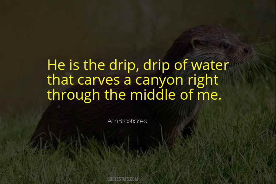 Ann Brashares Quotes #225377