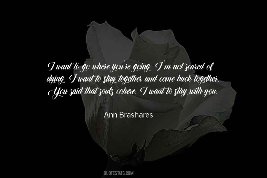 Ann Brashares Quotes #279528