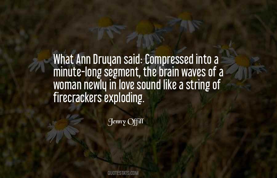 Ann Druyan Quotes #1798407