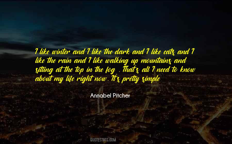 Annabel Pitcher Quotes #837067