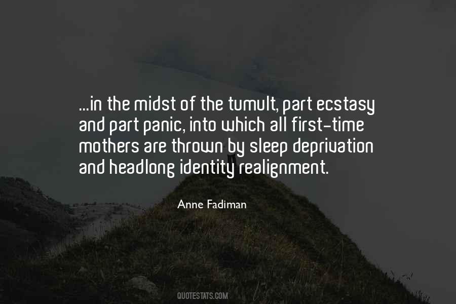 Anne Fadiman Quotes #1638178