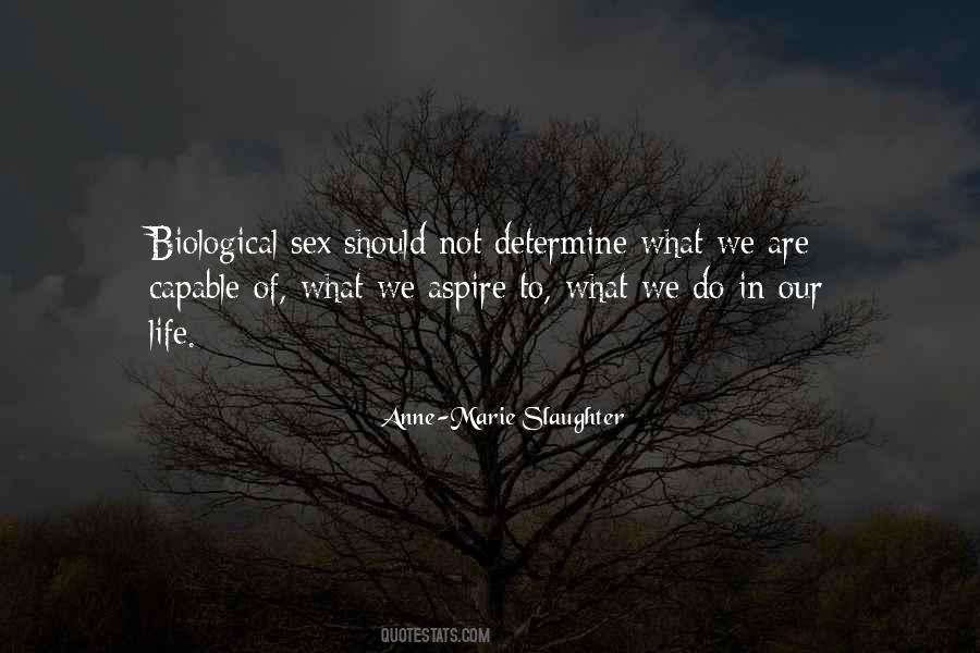Anne Marie Slaughter Quotes #764553