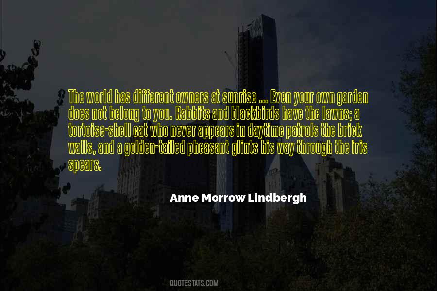 Anne Morrow Lindbergh Quotes #677533