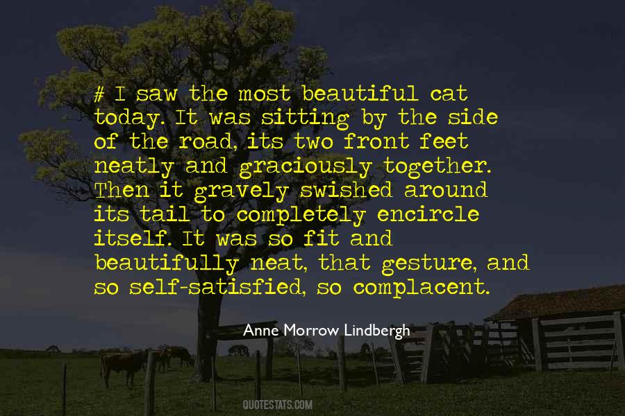 Anne Morrow Lindbergh Quotes #685415