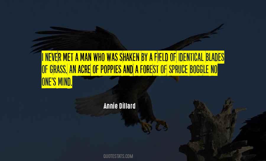 Annie Dillard Quotes #113263