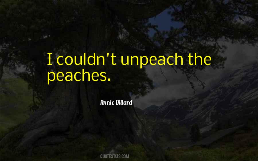 Annie Dillard Quotes #314437