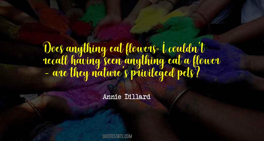 Annie Dillard Quotes #470525