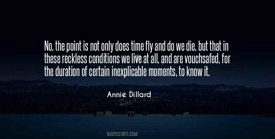 Annie Dillard Quotes #49164