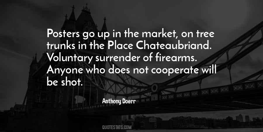 Anthony Doerr Quotes #169344