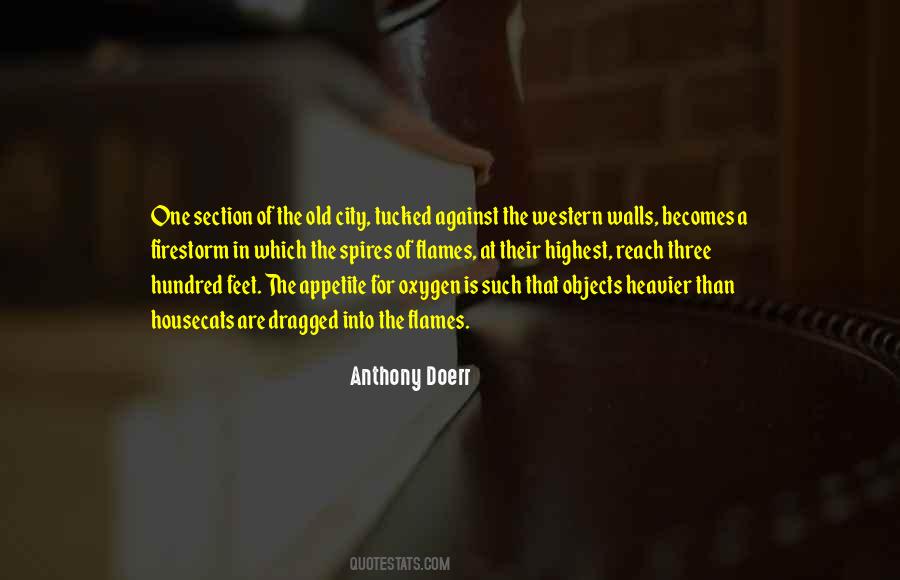 Anthony Doerr Quotes #90663