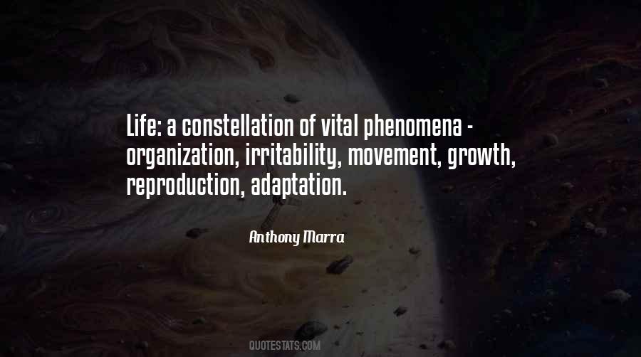 Anthony Marra Quotes #108924