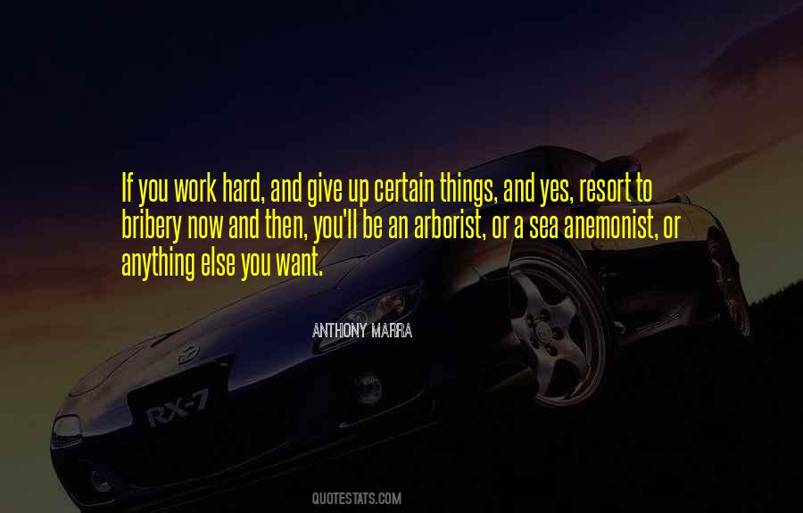 Anthony Marra Quotes #203813
