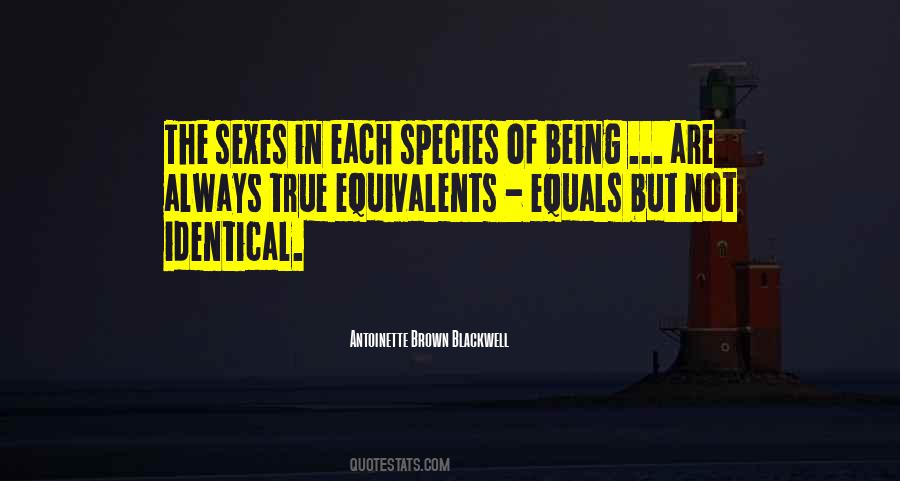 Antoinette Brown Blackwell Quotes #315682
