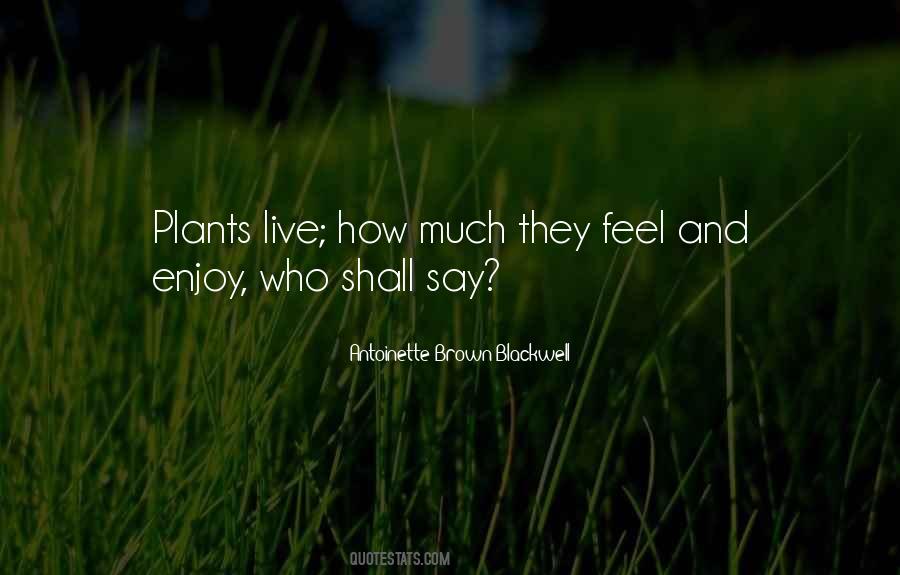 Antoinette Brown Blackwell Quotes #417743