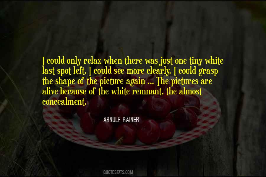 Arnulf Rainer Quotes #1062148