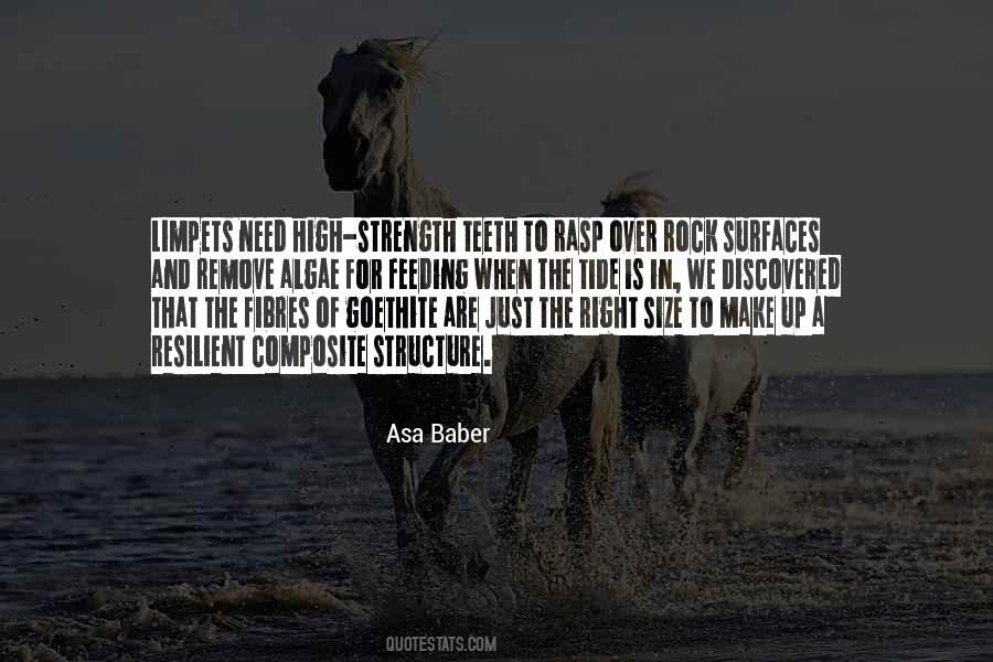 Asa Baber Quotes #1311287