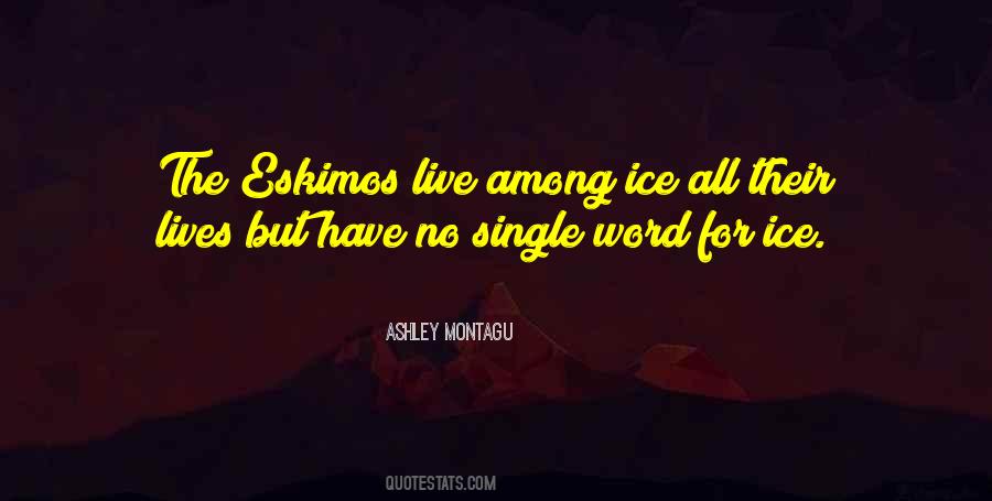 Ashley Montagu Quotes #656961