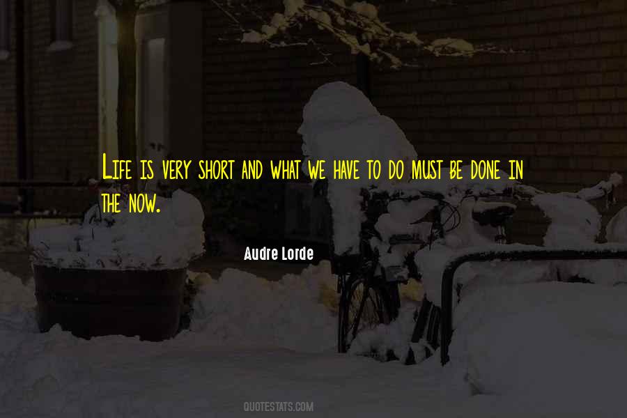 Audre Lorde Quotes #520832