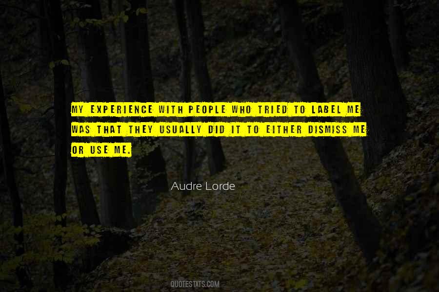 Audre Lorde Quotes #668396