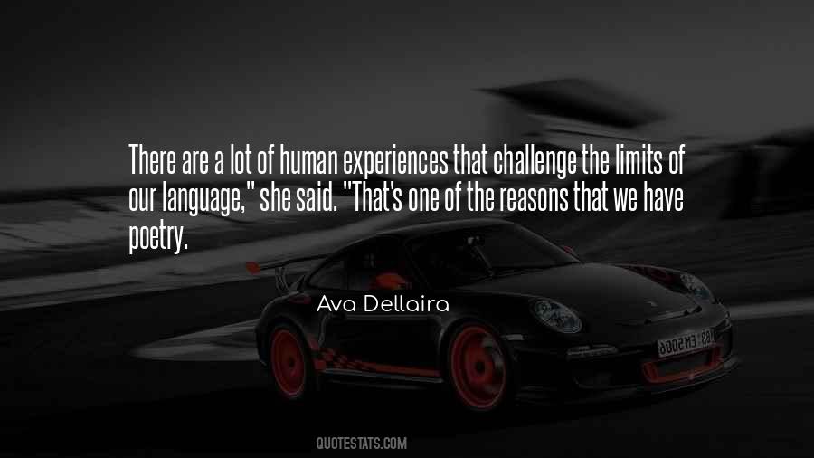 Ava Dellaira Quotes #17456